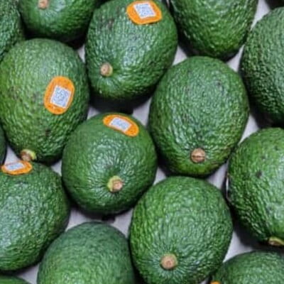 Avocado Imported (per PC)