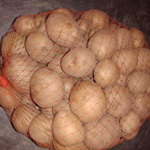 Baby Potato 1KG