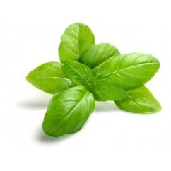 Basil Green 200gm