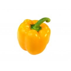 Capsicum Yellow (Per PC)