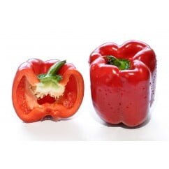 Capsicum Red (Per PC)