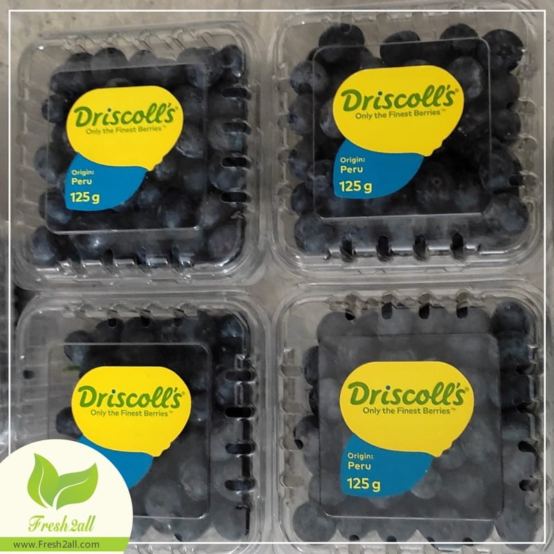 Blueberry Pack 125gm