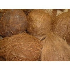 Coconut brown