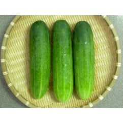 Cucumber Hybrid 500gm approx