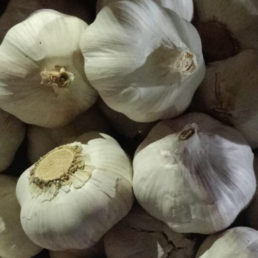 Garlic Whole Thick 250gm