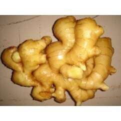 Ginger Normal 250gm