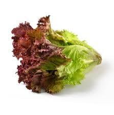 Lettuce Leaves Red 200gm