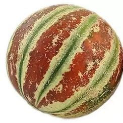 Muskmelon Whole (500-800gm)