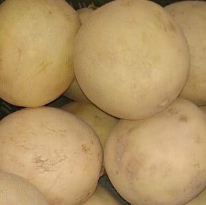 Muskmelon Small (500gm-800gm)