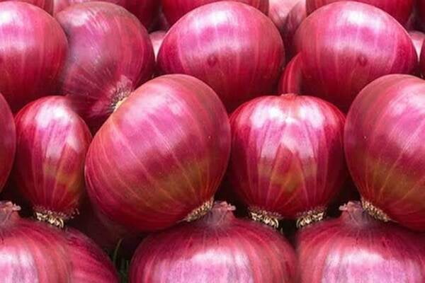 Onion Red 1KG