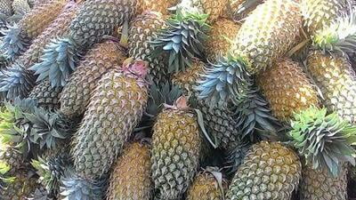 Pineapple Queen(Rani) Per PC (approx 1-1.5kg)