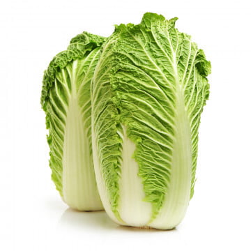 Chinese cabbage